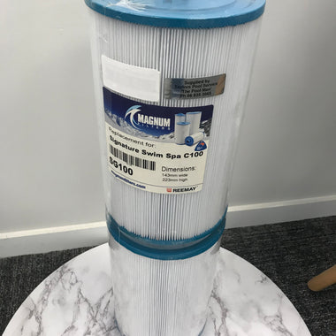 Magnum Spa Cartridge Filter SG100