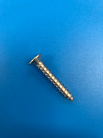 Emaux Skimmer Face Plate Screw