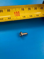 SP1500 Skimmer Hinge Screw